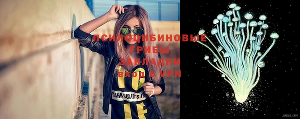 трава Киреевск