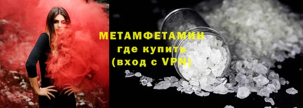 прущие грибы Струнино