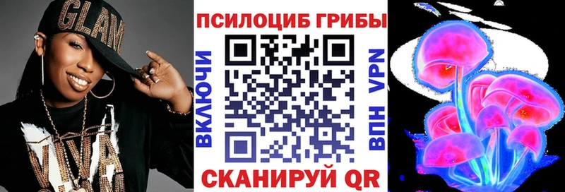 сколько стоит  Севск  Галлюциногенные грибы Psilocybine cubensis 